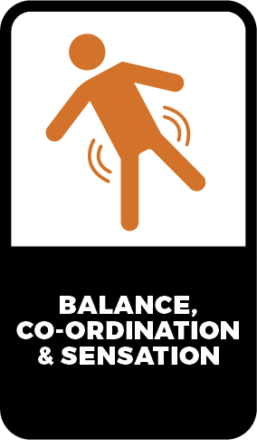 4.Icons-vertical/1x/balance-coordination-and-sensation.png