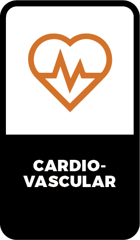 4.Icons-vertical/1x/cardiovascular.png