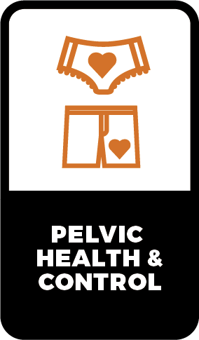 4.Icons-vertical/1x/pelvic-health-and-control.png